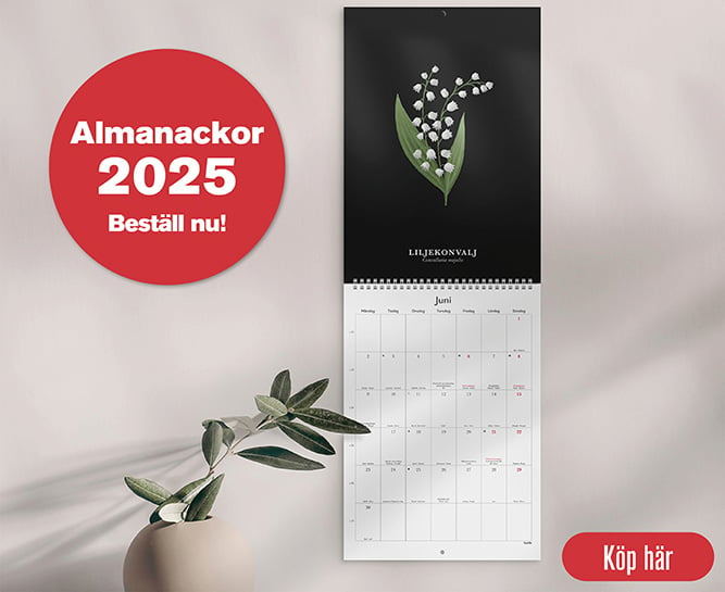 Almanackor 2025