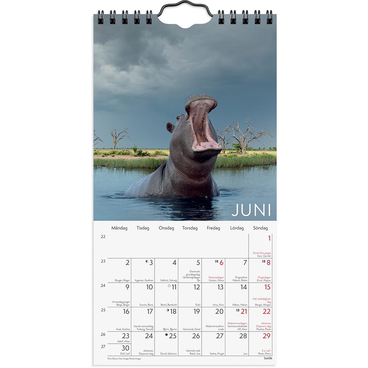 Väggkalender Burde 1767 Wild Animals 2025 16141494_2