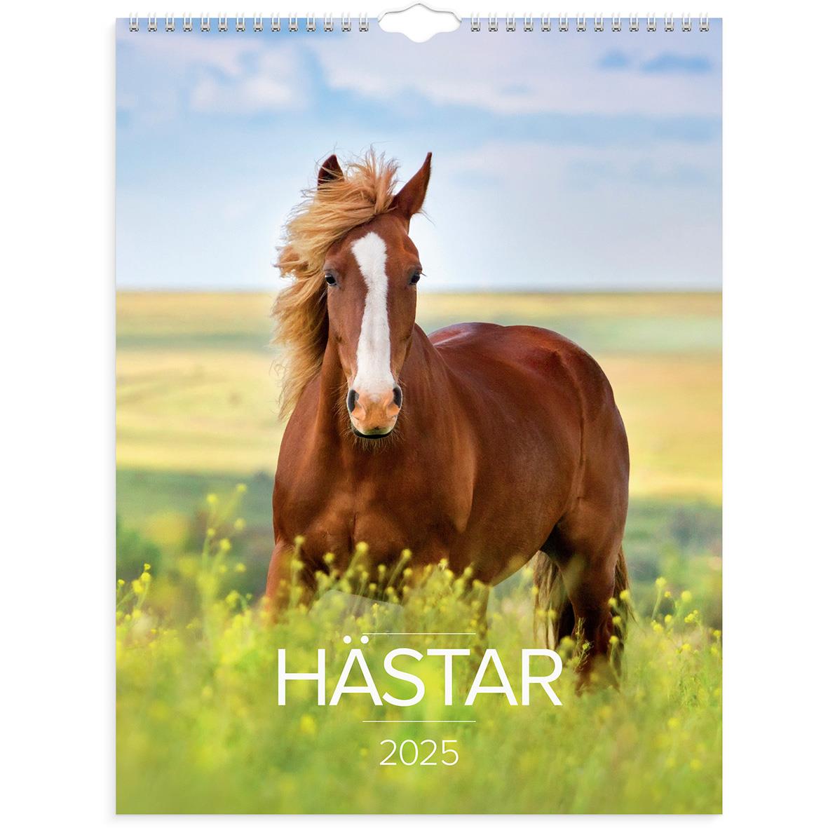 Väggkalender Burde 1776 Hästar 2025 AllOffice